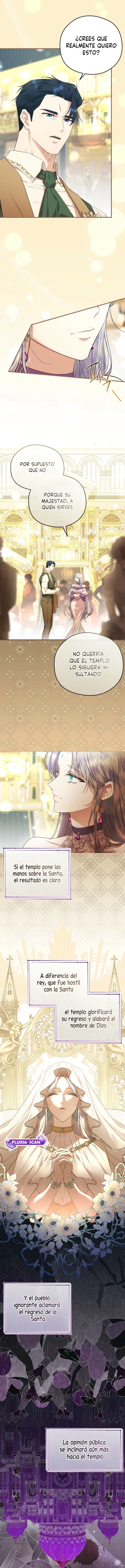 10 Las violetas que florecieron en el jardín