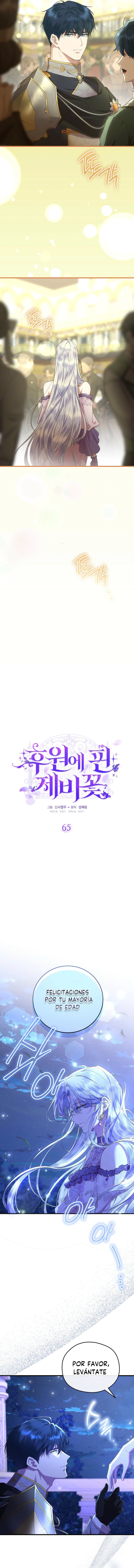 2 Las violetas que florecieron en el jardín