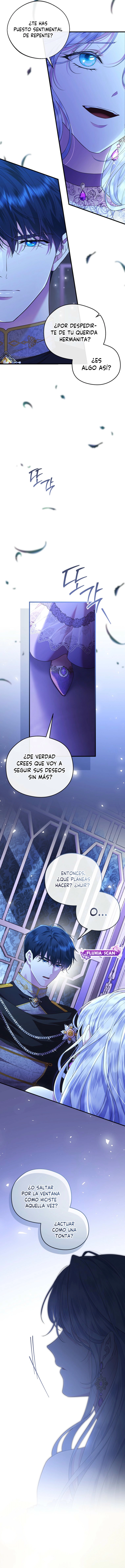 5 Las violetas que florecieron en el jardín