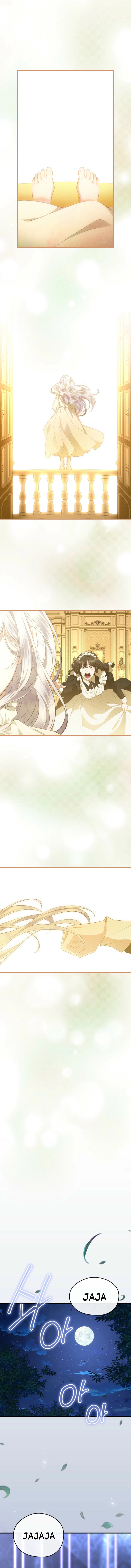 6 Las violetas que florecieron en el jardín