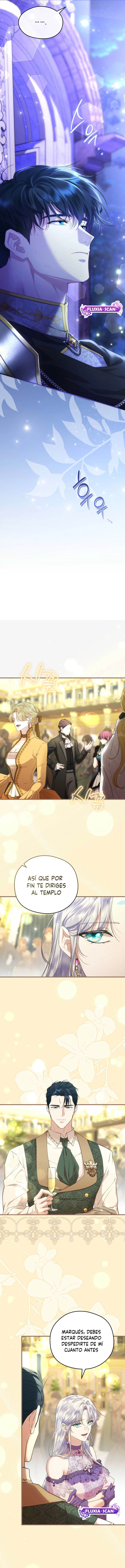 9 Las violetas que florecieron en el jardín