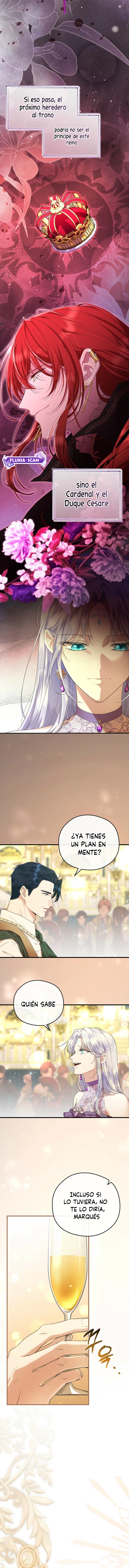 11 Las violetas que florecieron en el jardín