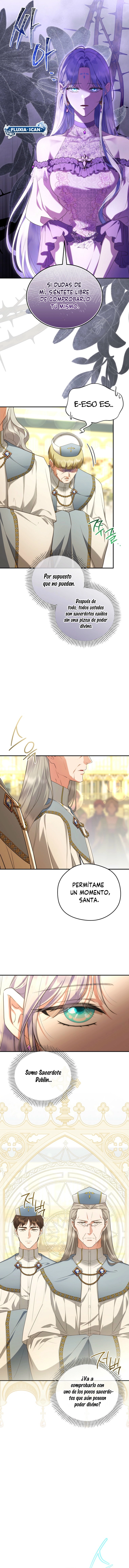 9 Las violetas que florecieron en el jardín