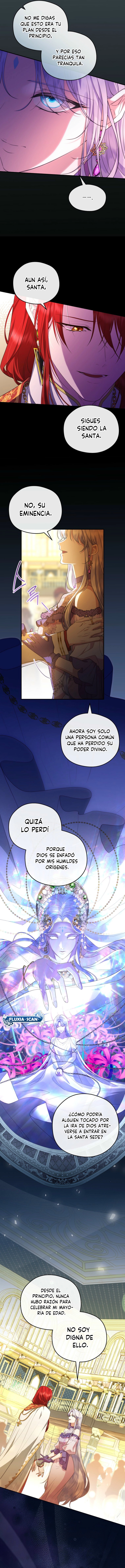 12 Las violetas que florecieron en el jardín