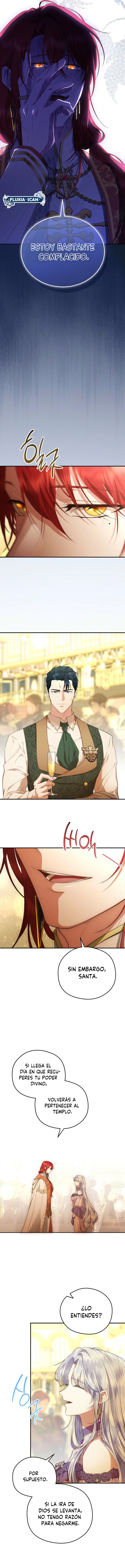 14 Las violetas que florecieron en el jardín