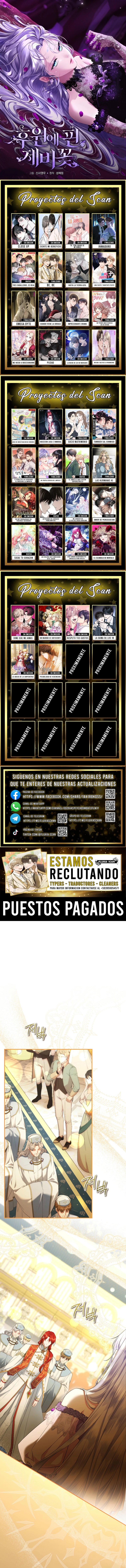 0 Las violetas que florecieron en el jardín