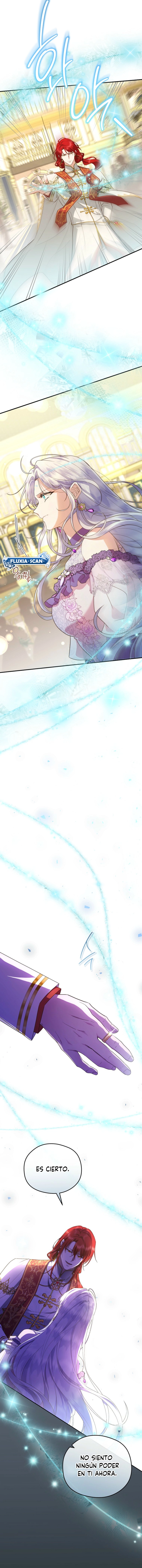 11 Las violetas que florecieron en el jardín