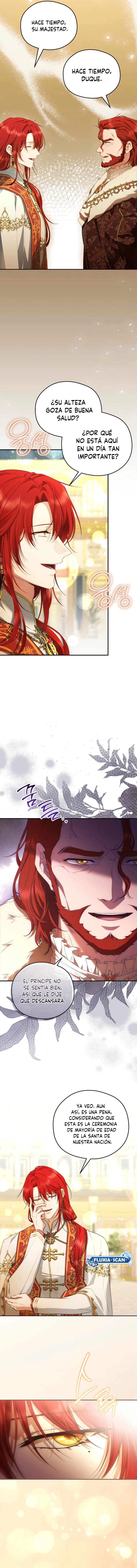 3 Las violetas que florecieron en el jardín