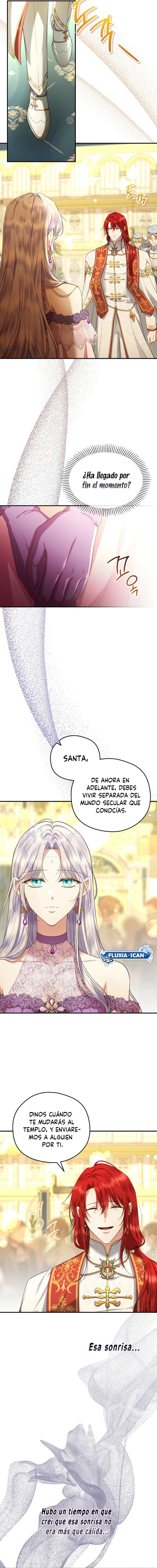 5 Las violetas que florecieron en el jardín