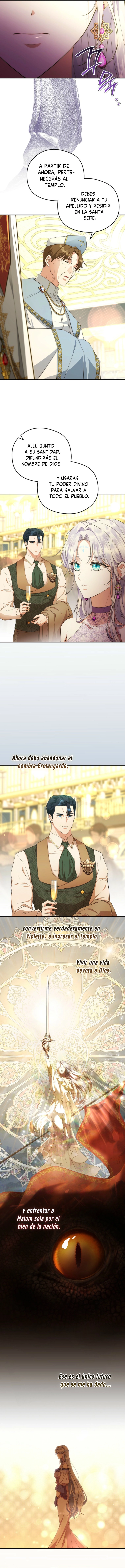 6 Las violetas que florecieron en el jardín