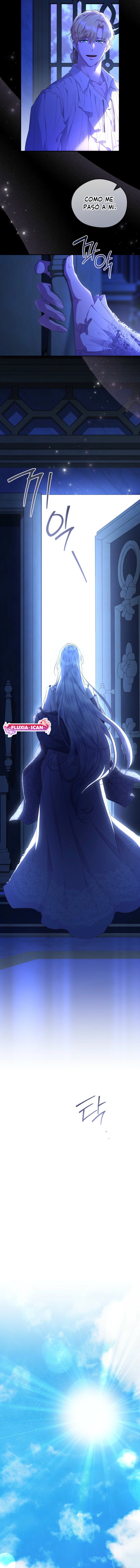 15 Las violetas que florecieron en el jardín