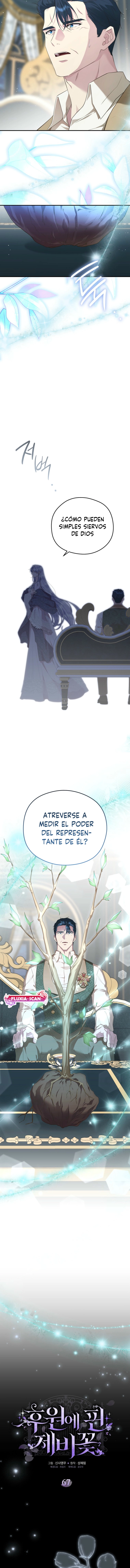 8 Las violetas que florecieron en el jardín