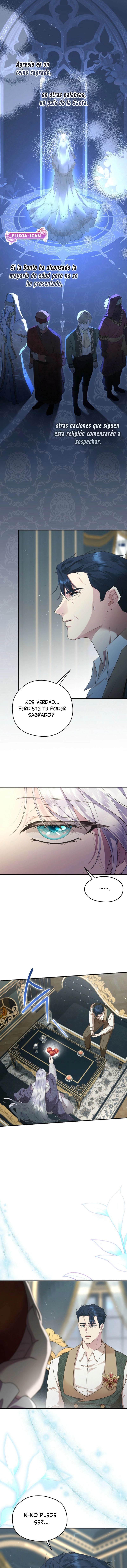 7 Las violetas que florecieron en el jardín