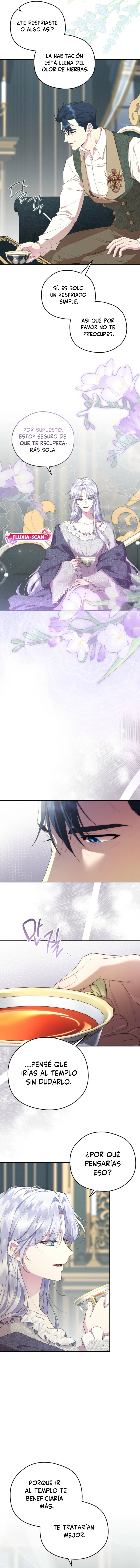 1 Las violetas que florecieron en el jardín