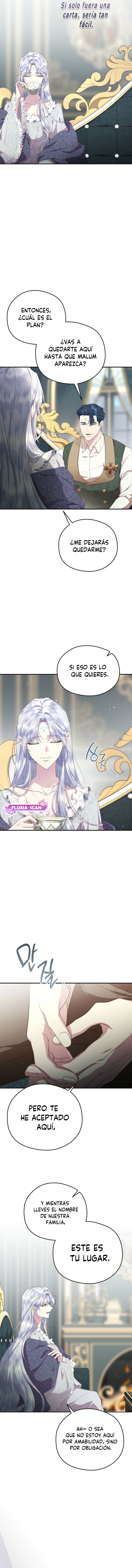 5 Las violetas que florecieron en el jardín