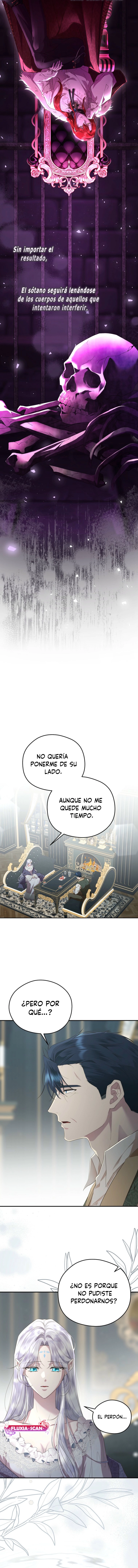 3 Las violetas que florecieron en el jardín