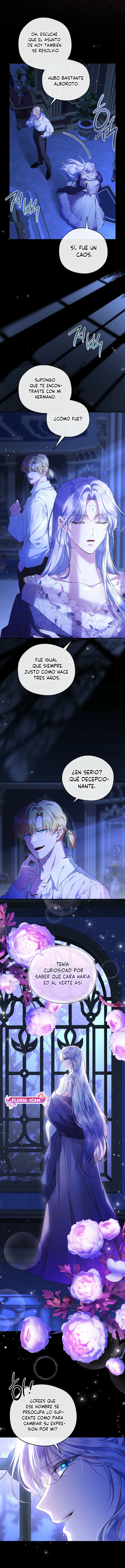 13 Las violetas que florecieron en el jardín