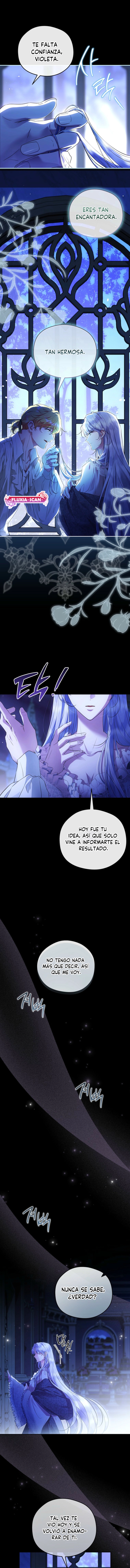 14 Las violetas que florecieron en el jardín