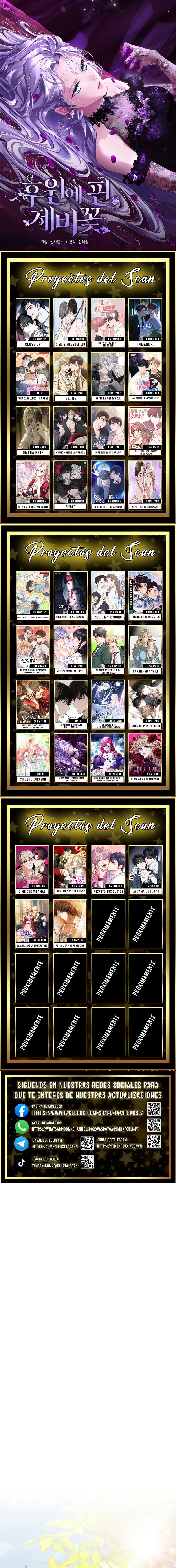 0 Las violetas que florecieron en el jardín