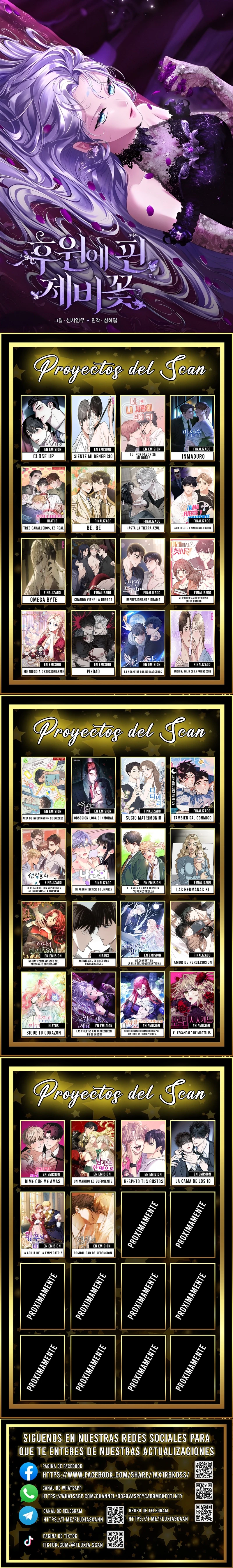 0 Las violetas que florecieron en el jardín