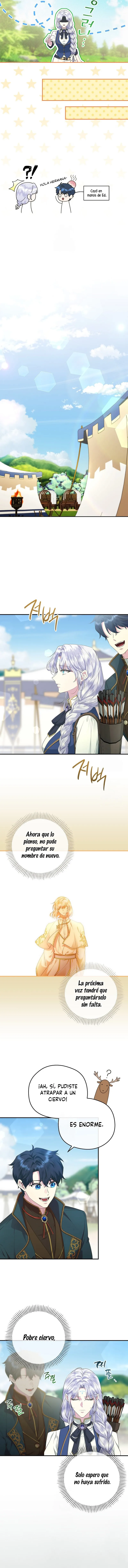 9 Las violetas que florecieron en el jardín