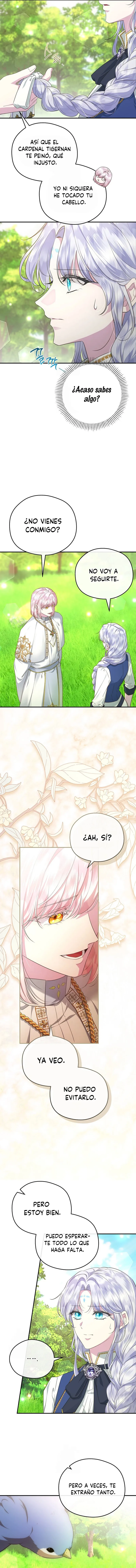 6 Las violetas que florecieron en el jardín