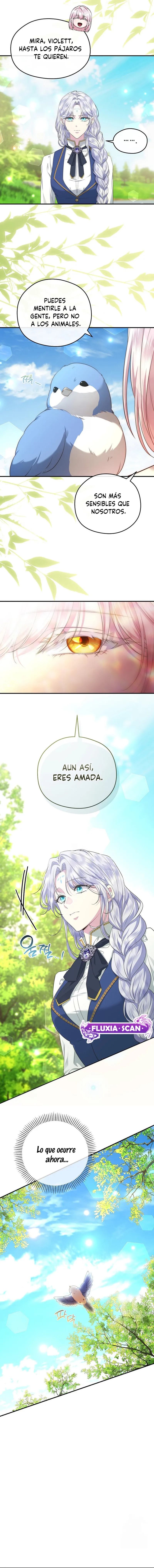 5 Las violetas que florecieron en el jardín