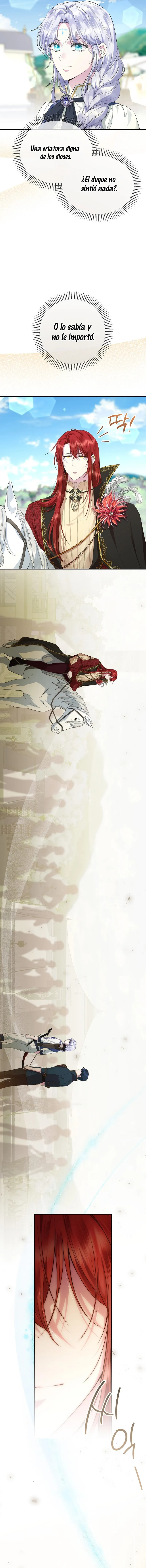 13 Las violetas que florecieron en el jardín