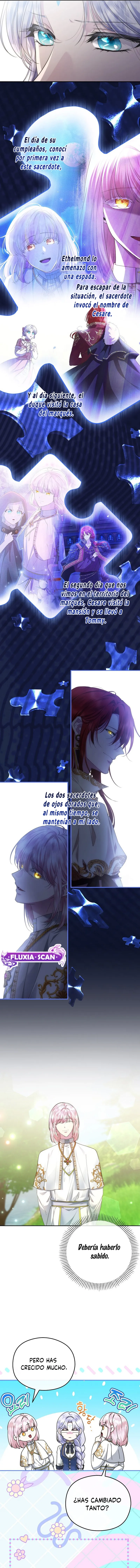 2 Las violetas que florecieron en el jardín