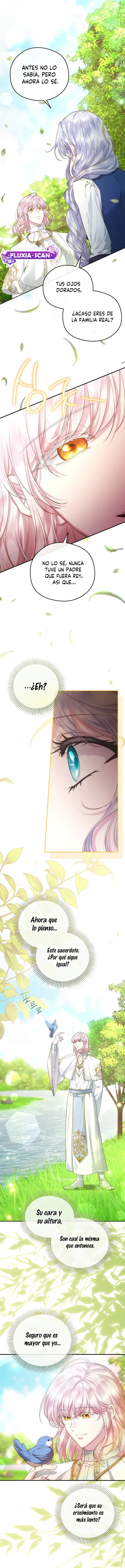 4 Las violetas que florecieron en el jardín