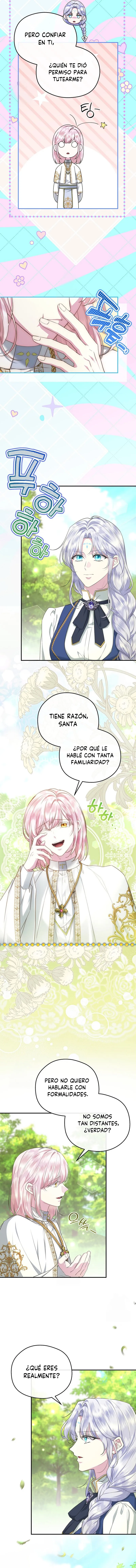 3 Las violetas que florecieron en el jardín