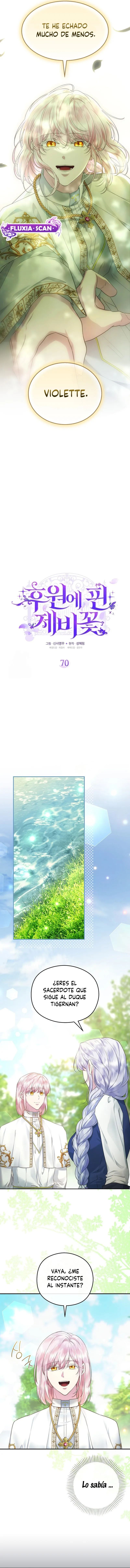 1 Las violetas que florecieron en el jardín