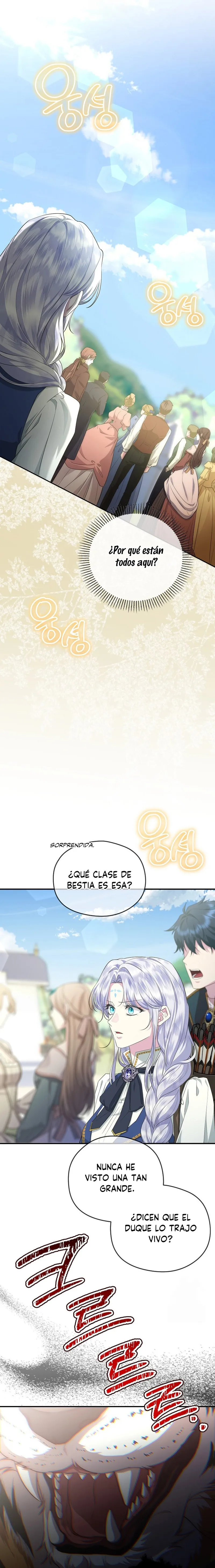 11 Las violetas que florecieron en el jardín