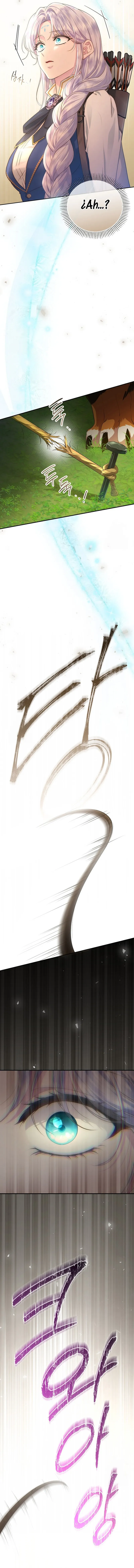 14 Las violetas que florecieron en el jardín