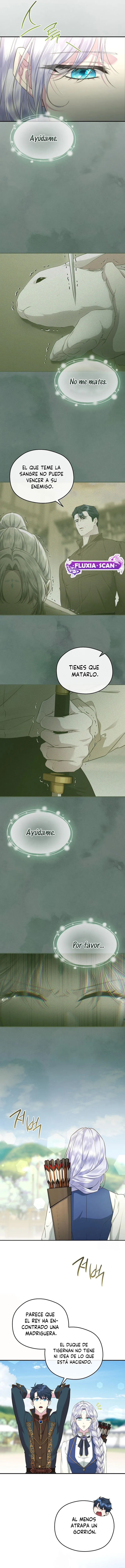 10 Las violetas que florecieron en el jardín