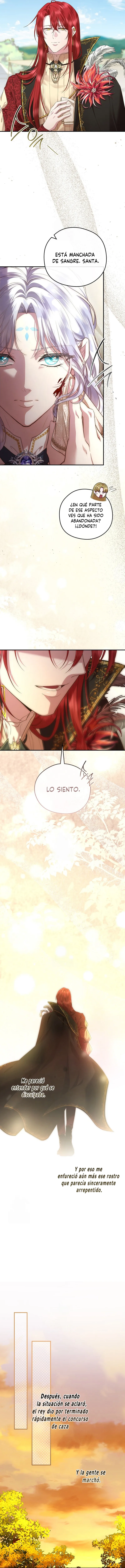 11 Las violetas que florecieron en el jardín