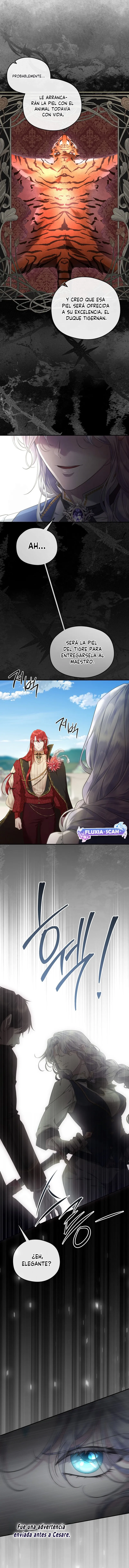 7 Las violetas que florecieron en el jardín