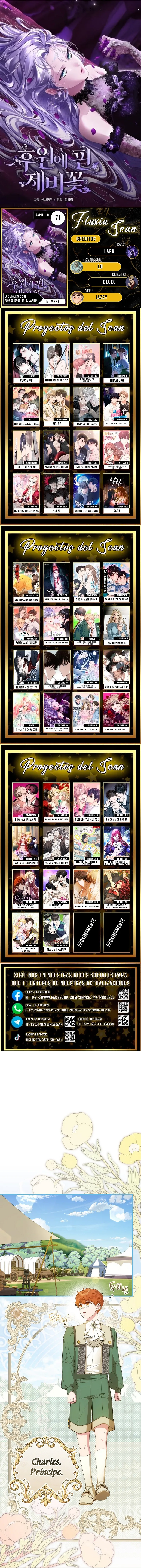 0 Las violetas que florecieron en el jardín