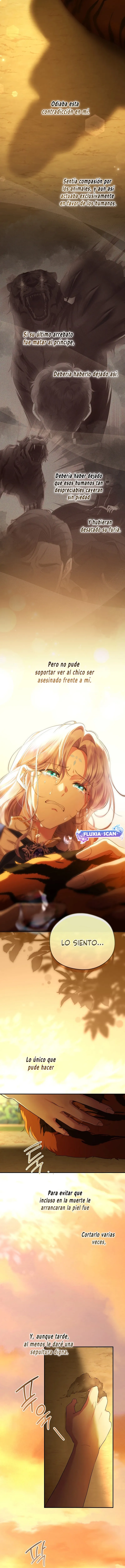 13 Las violetas que florecieron en el jardín