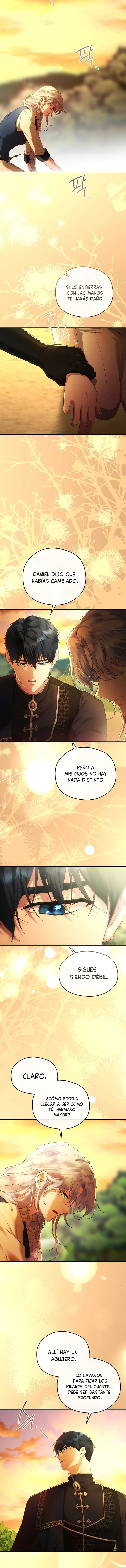 14 Las violetas que florecieron en el jardín