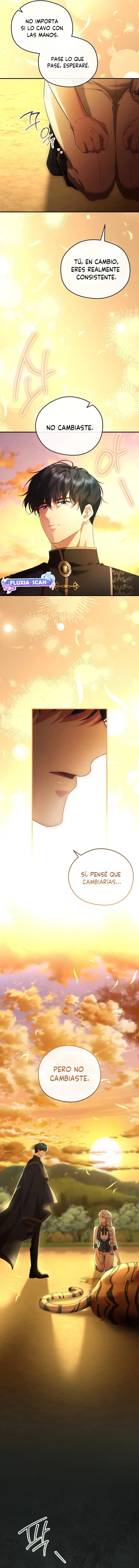 15 Las violetas que florecieron en el jardín