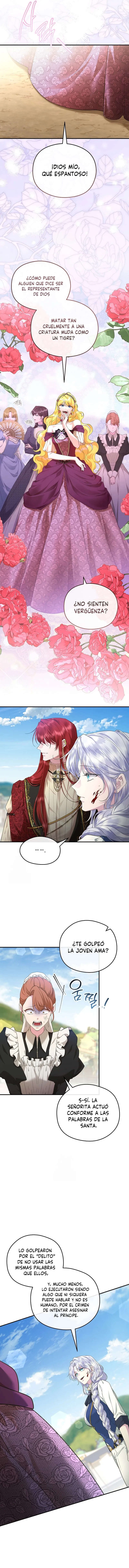 9 Las violetas que florecieron en el jardín