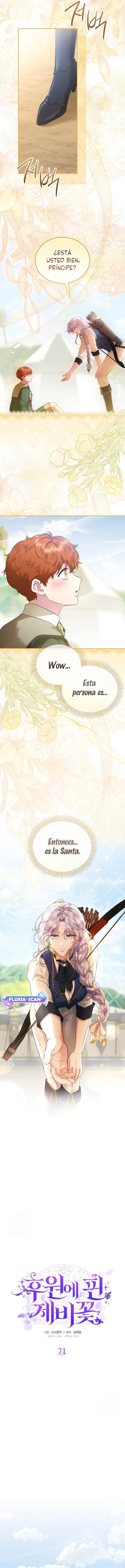 5 Las violetas que florecieron en el jardín