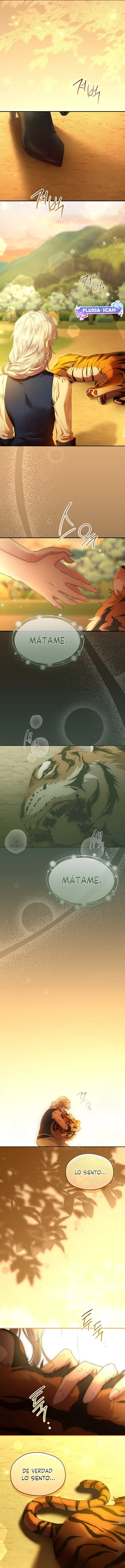 12 Las violetas que florecieron en el jardín