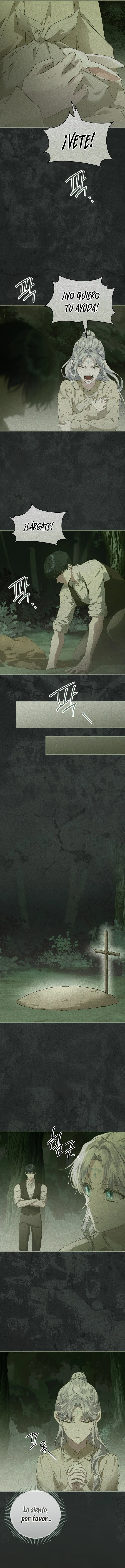 16 Las violetas que florecieron en el jardín