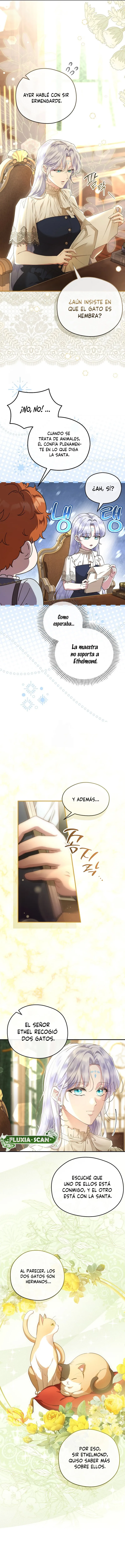 1 Las violetas que florecieron en el jardín