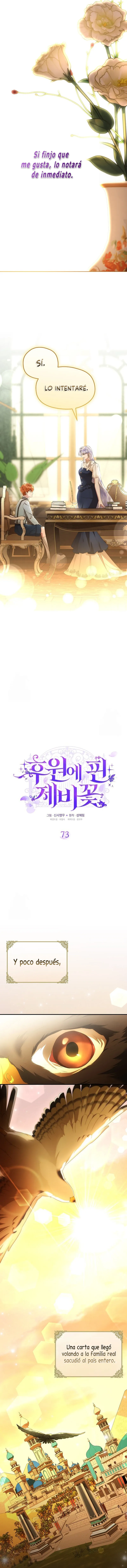 10 Las violetas que florecieron en el jardín