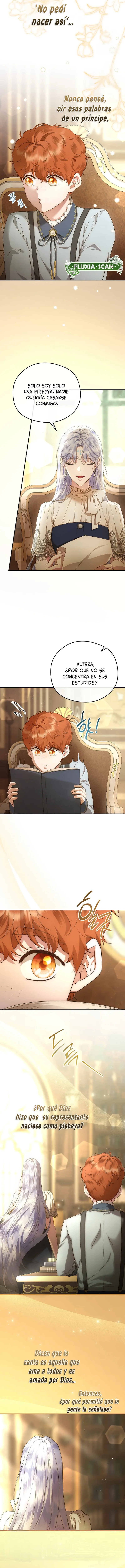 6 Las violetas que florecieron en el jardín