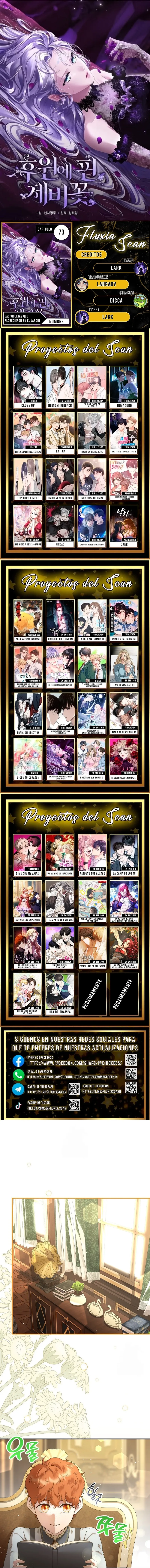 0 Las violetas que florecieron en el jardín