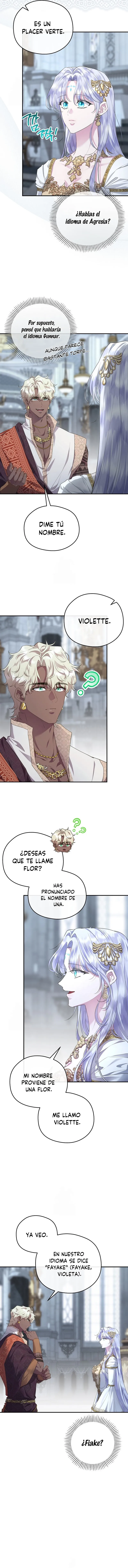 13 Las violetas que florecieron en el jardín